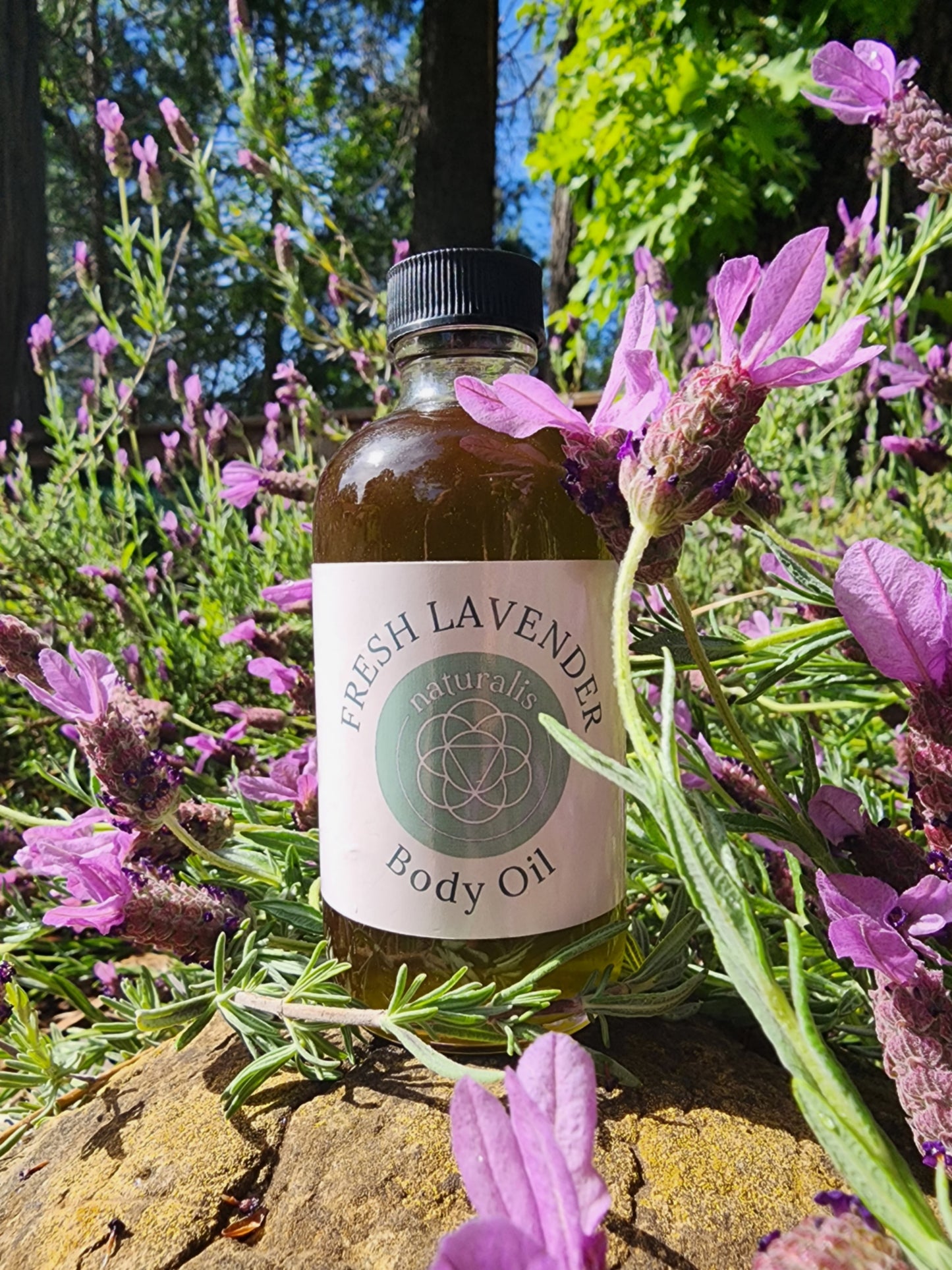 Fresh Lavender Body Oil